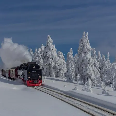 Fewo Fuchsbau Mit Dampfdusche #Kamin#Innenstadtnaehe#Netflix Von Harztraveler Bad Harzburg Zewnętrze zdjęcie