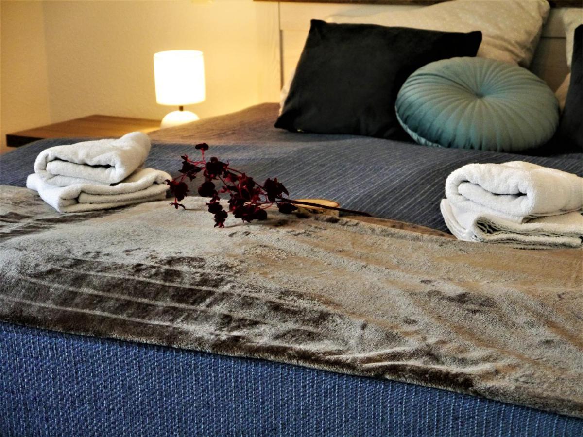Fuchsbau Mit Dampfdusche #kamin#innenstadtnaehe#netflix Von Harztraveler Apartment *